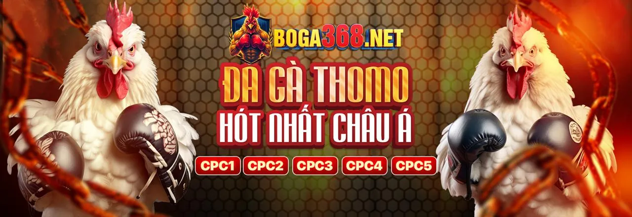 Đá gà trực tuyến kịch tính tại vt999 khuyến mãi