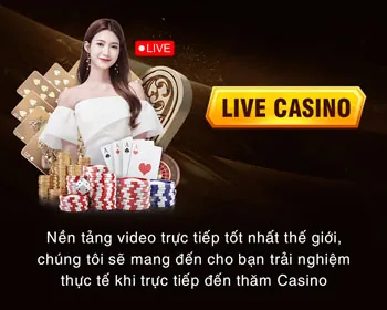 Hoàn trả tiền cược hàng ngày/tuần VT999