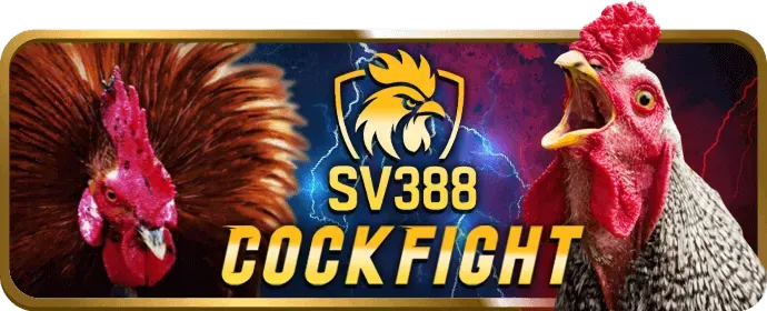 Thưởng nạp lại VT999