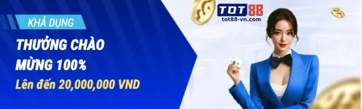 Chương trình VIP VT999